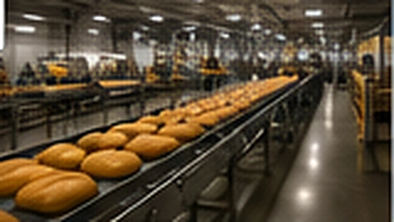 Automatizarea fabricilor de pâine - Control temperatură cuptor